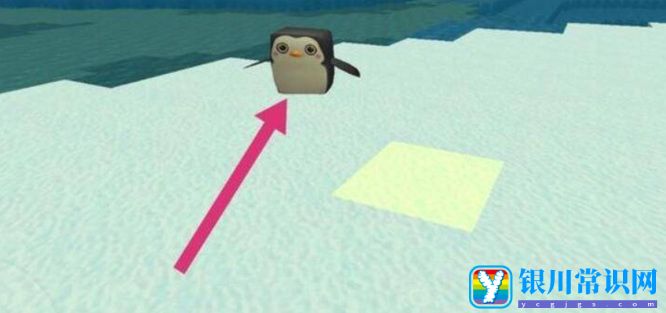 《迷你世界》企鹅驯服方法